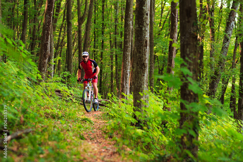 Naklejka premium Rider on Mountain Bicycle it the forest