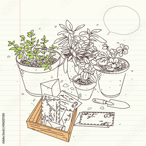pollen and letters