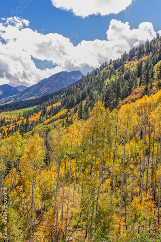 Autumn Landscape in the Rockies
