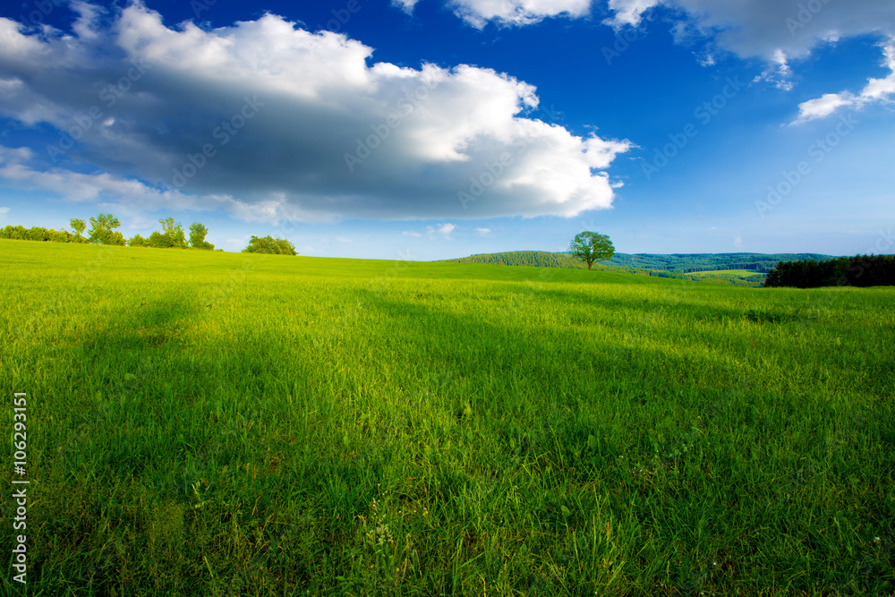 Summer landscape with green grass and clouds. Summer landscape with green grass and clouds.