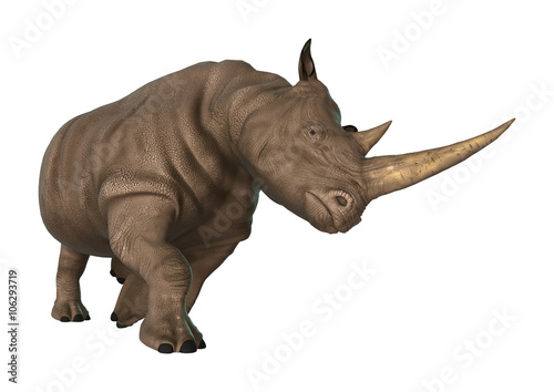 3D Illustration Rhinoceros on White © photosvac
