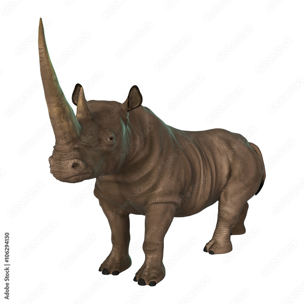 3D Illustration Rhinoceros on White