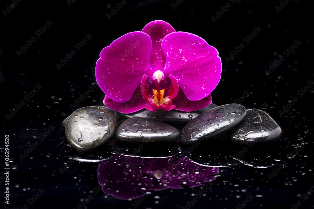 Obraz premium Storczyk i kamienie zen