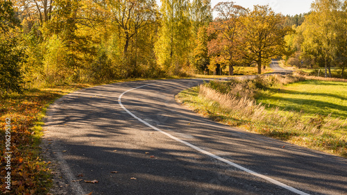 empty road in the countryside in autumn