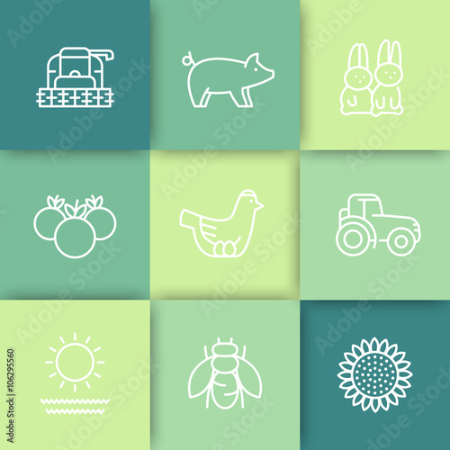 Farm, ranch line icons, tractor, harvester, hen, pig, crop, vegetables icons on squares, vector illustration