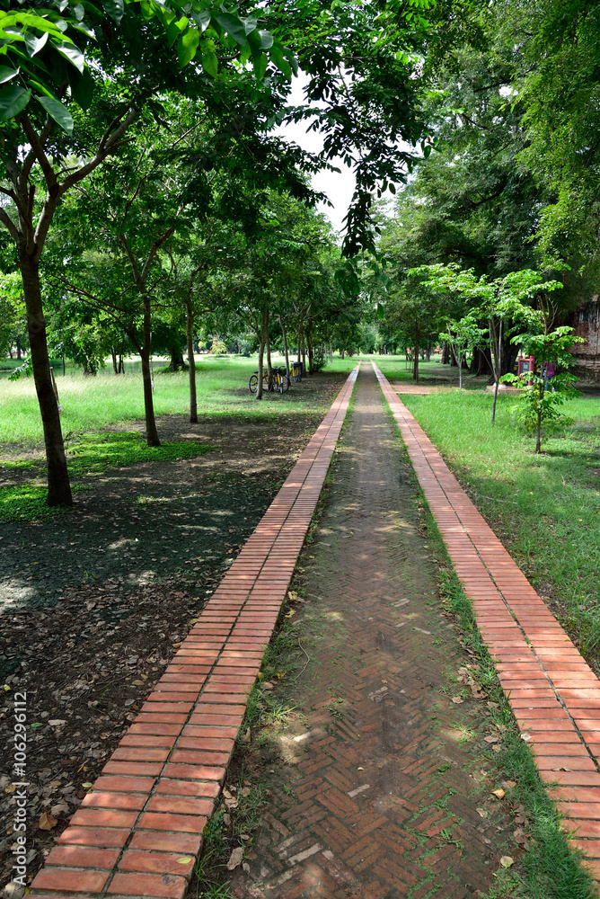 Walking path