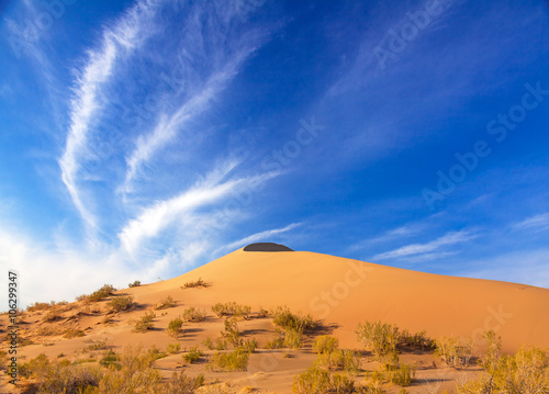 Majesty of nature  huge sand dune in the semi-desert at sunrise.