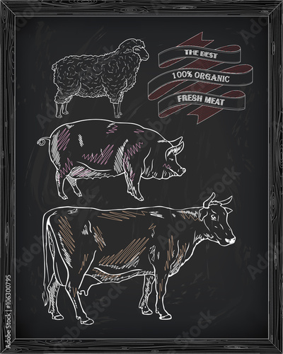 butchering beef diagram, pork, lamb