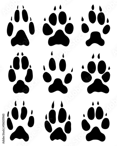 Black footprints of foxes on a white background, vector 