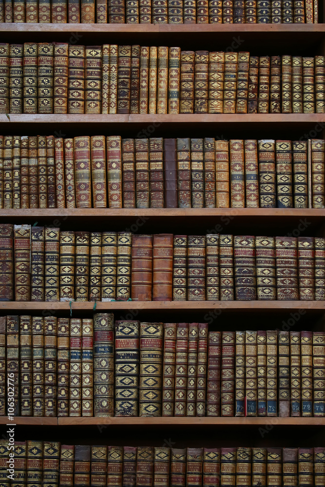 Fototapeta premium old books in the nationla library of Vienna.