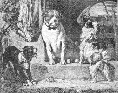 The neighbor of the annuitant V Arnoldt, vintage engraving.