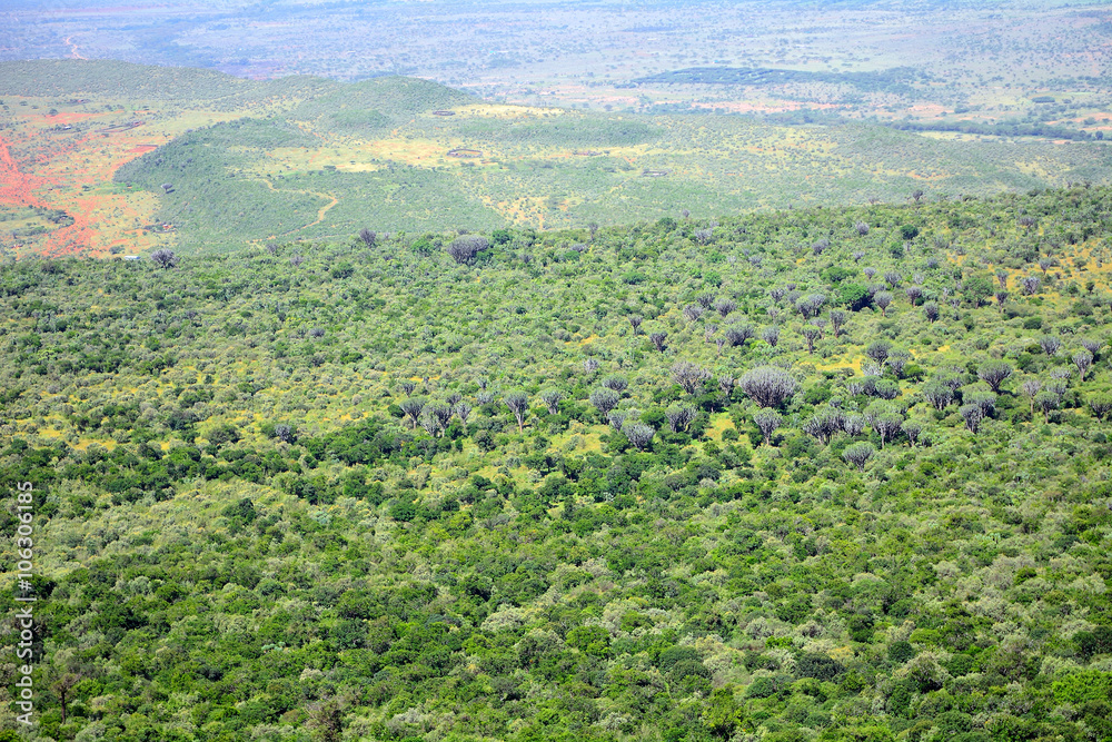 Obraz premium The Rift Valley