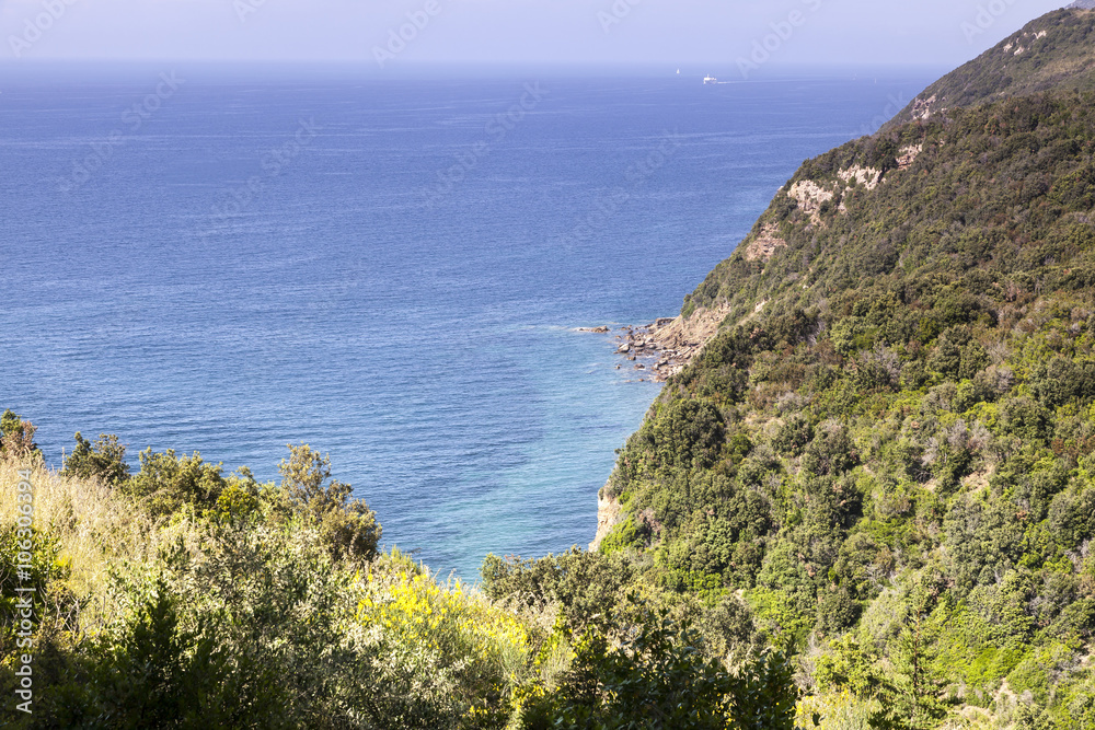 Mediterranean coast near Bagnaia, Elba island, Elba, island, Italy, Europe