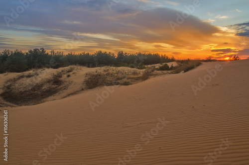 nice sunset on the sand quarry, in the woods