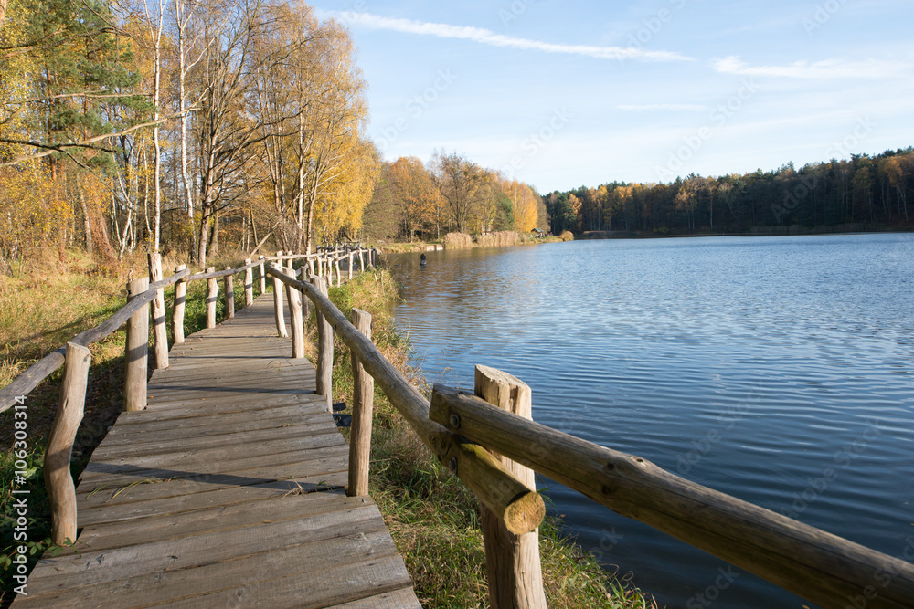 Obraz premium Steg am Waldsee