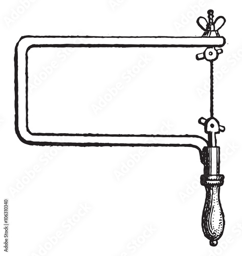 Bocfil, vintage engraving.