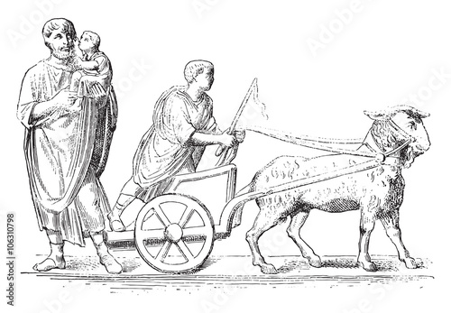 Goat hitched, vintage engraving.