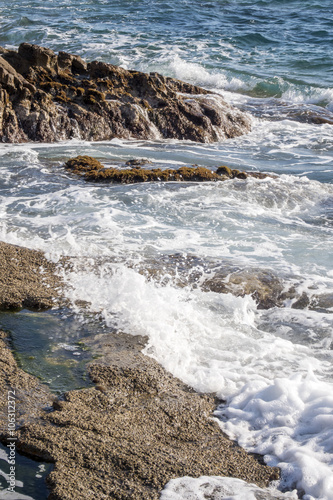 Livorno,scogliera del Romito. photo