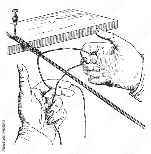 Half-knot top left, first movement, vintage engraving.