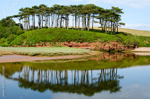 Pine trees on on outcrop of Jurassic Red Sandstone near the mouth of the River Otter, Budleigh Salterton, Devon, England. photo