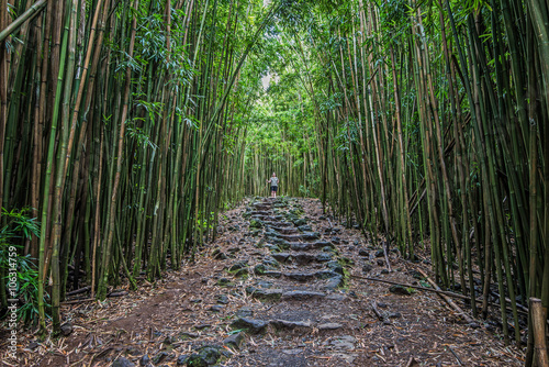 Pipiwai Trail Stone Path in Haleakala National Park