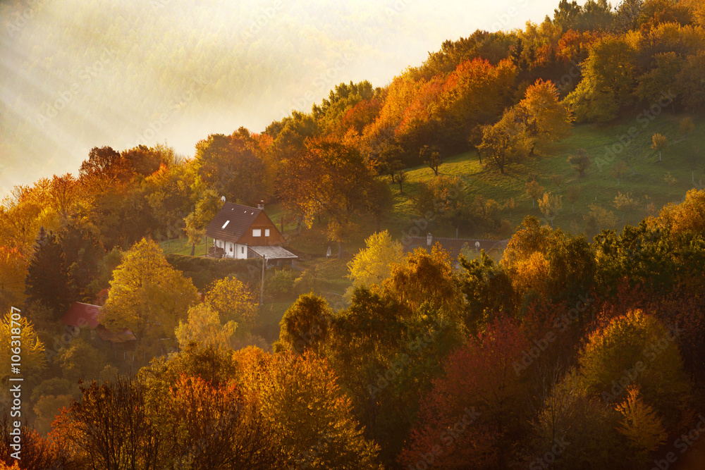 Obraz premium Autumn in countryside