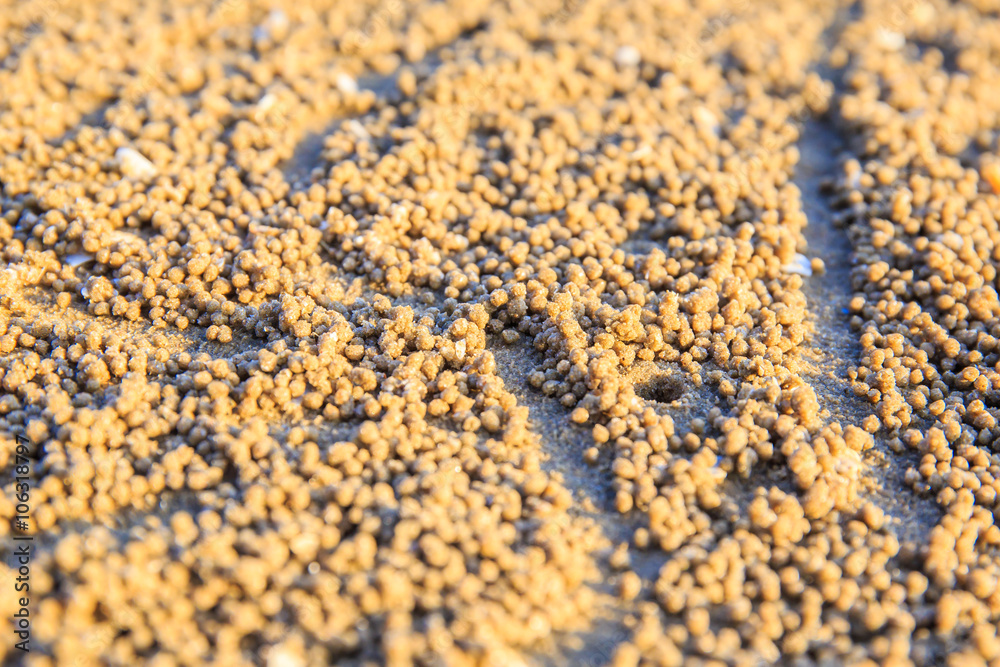 small sand balls while digging habitat, abstract art from animals on the beach small sand balls while digging habitat, abstract art from animals on the beach