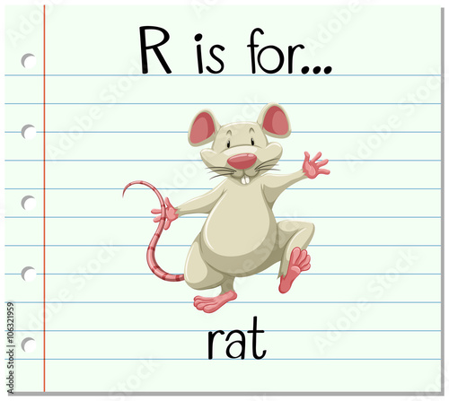 Flashcard letter R is for rat