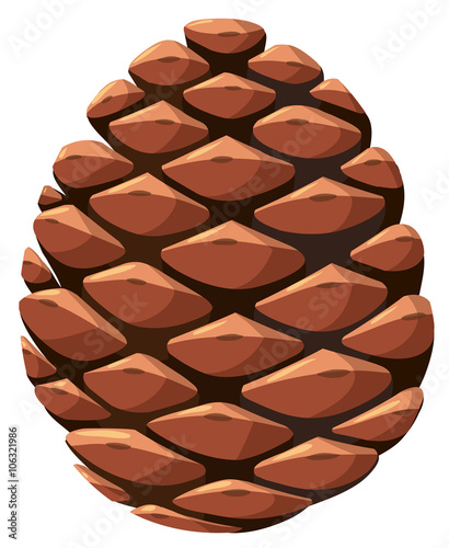 Close up of pine cone