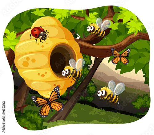 Bees and bugs in the tree