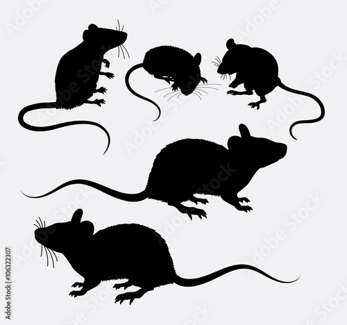 Mouse and rat animal silhouette. Good use for symbol, logo, web icon, mascot, sign, sticker, or any design you want. Easy to use. 