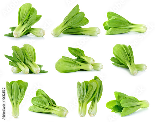 Bok choy vegetable isolated on the white