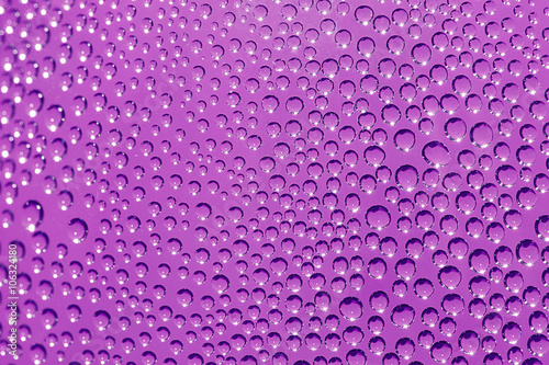 Purple Dewdrops for pattern and background