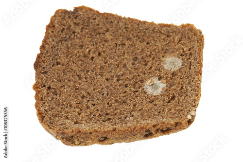 mold on bread  