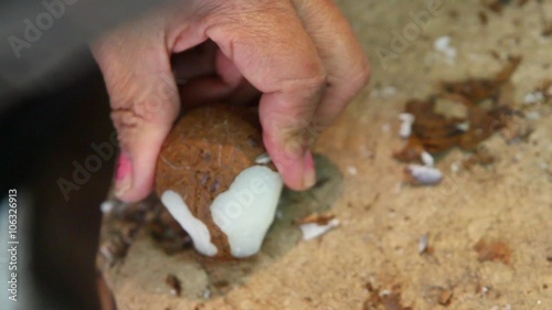 Efficiently peel tagua seeds using a large machete for a seamless and effective process. photo