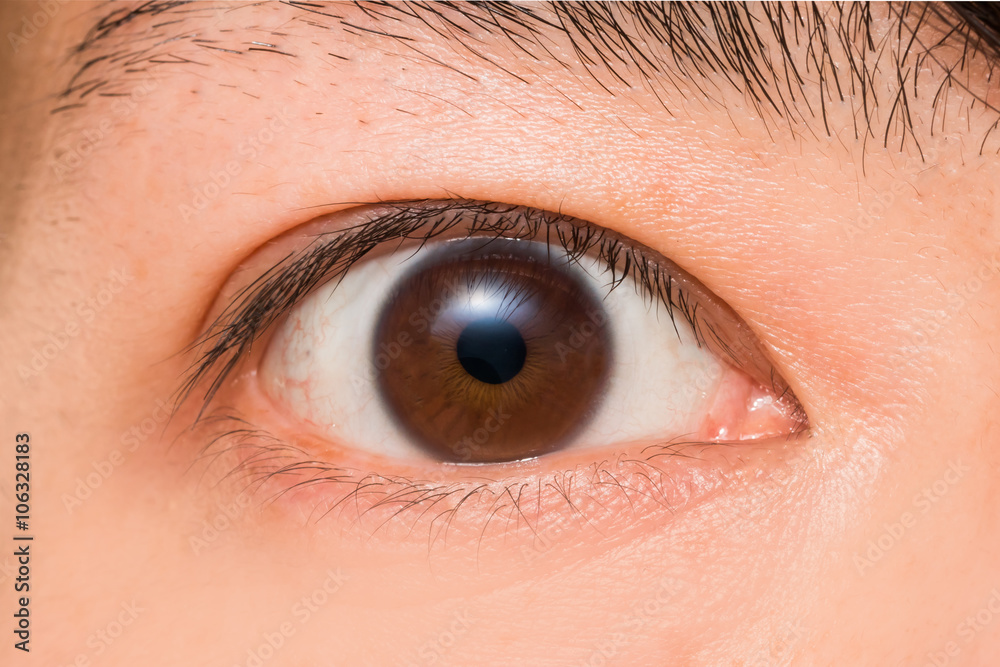 日本人青年の目eyes Of The Japanese Young Man Stock Photo Adobe Stock