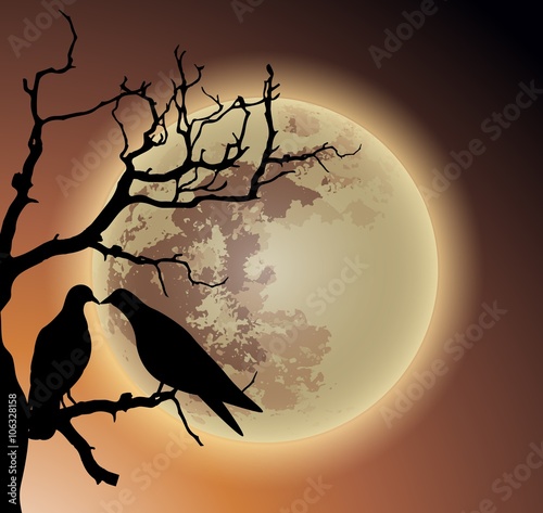 couple of pigeon on death tree with fullmon