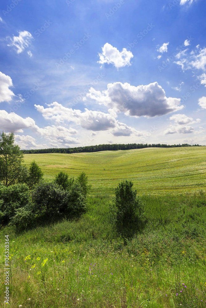 agriculture , grass grows