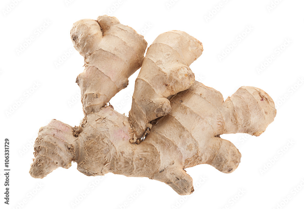 Ginger spice root isolated Ginger spice root isolated