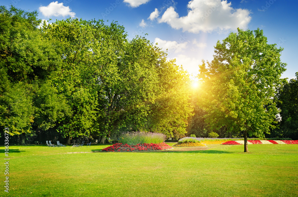 Obraz premium summer park with beautiful flowerbeds