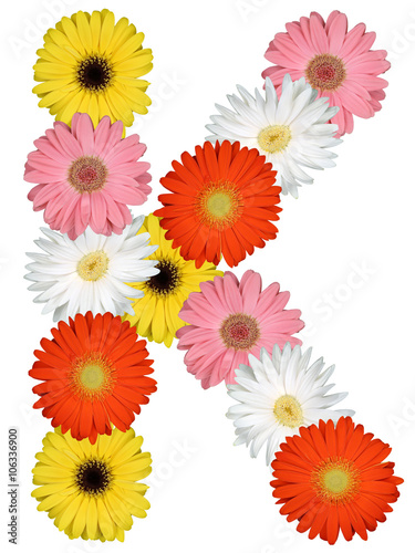 Buchstabe K Alphabet aus Blumen Freisteller auf weiss