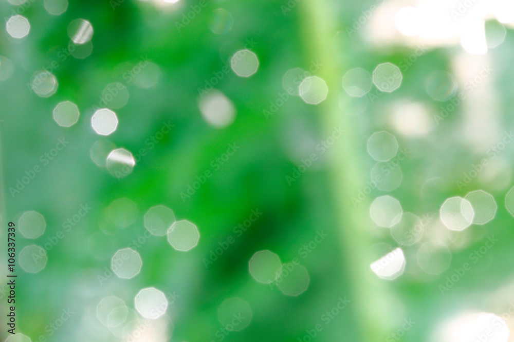 Green blur natural background Green blur natural background