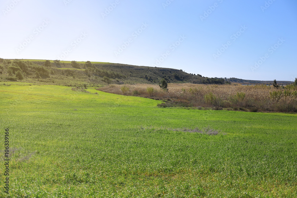 The meadow landscape with soft light
