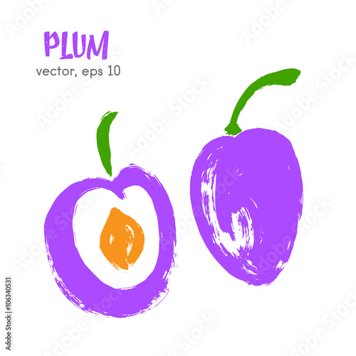Sketched fruit illustration of plum. Hand drawn brush food ingre
