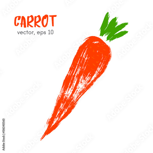 Sketched vegetable illustration of carrot. Hand drawn brush food