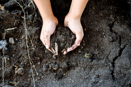 Black soil in hand