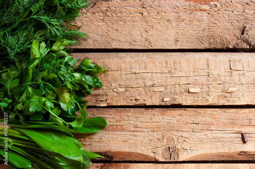 green herbs on a wooden background