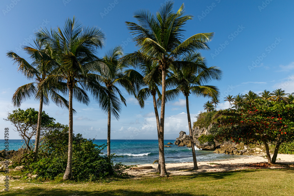 Guadeloupe, Asne de Vinaigri, plage