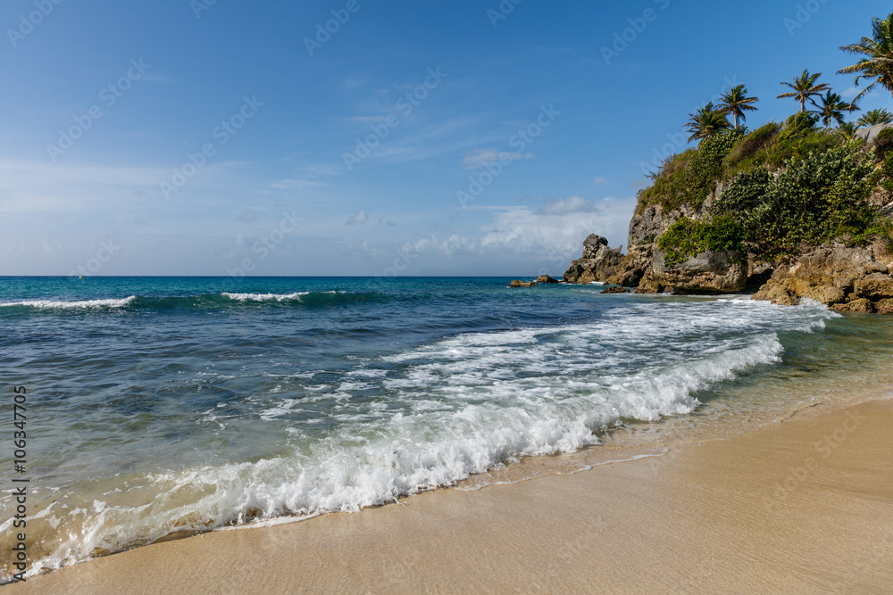 Guadeloupe, Asne de Vinaigri, plage