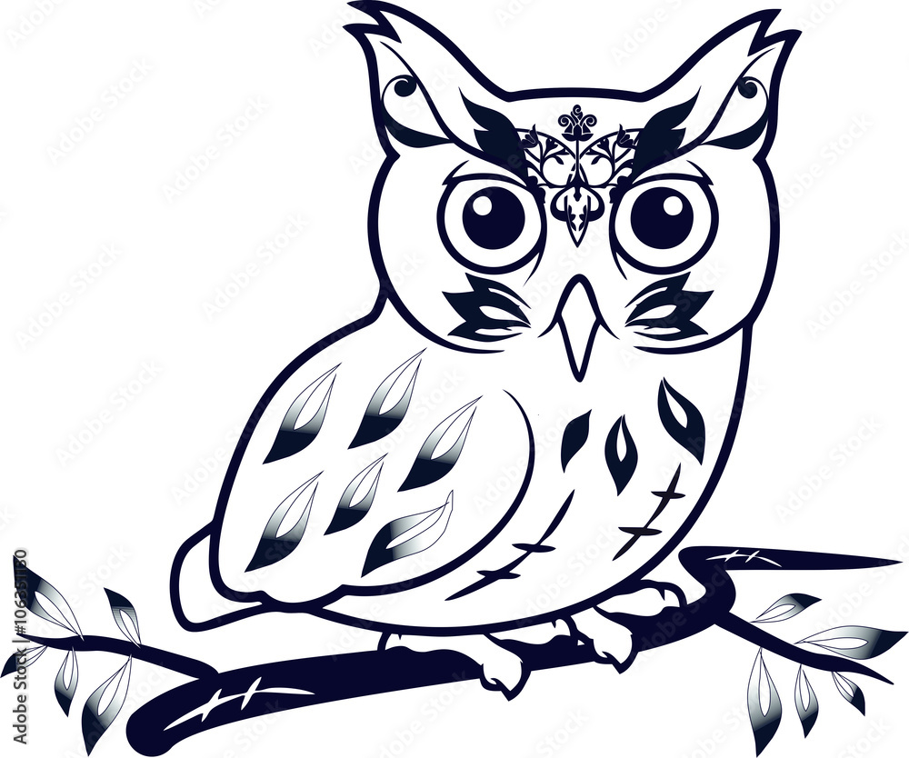 Fototapeta premium owl